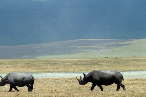 5 Days Tanzania Big 5 Safari Experience