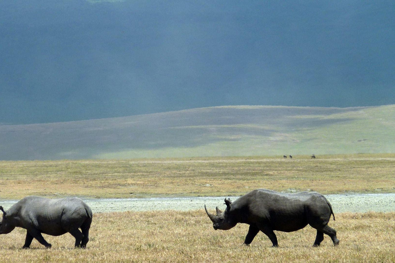 5 Days Tanzania Big 5 Safari Experience