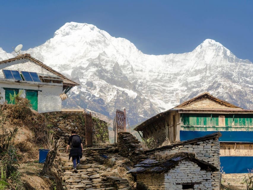 From Pokhara Day Poon Hill And Ghandruk Trek Full Package Getyourguide