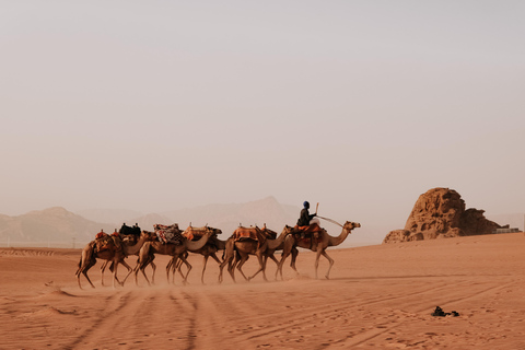 4-daagse privétour: Jerash, Amman, Petra, Wadi-rum en Dode Zee.All-inclusives