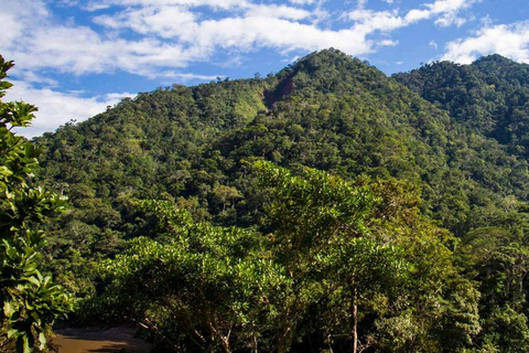 Cruzeiro de 4 dias pela Amazônia e Ucayali