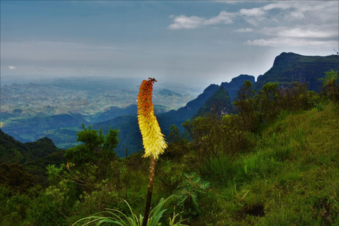 From Gondar: Simien Mountains 8-Day Trekking Adventure