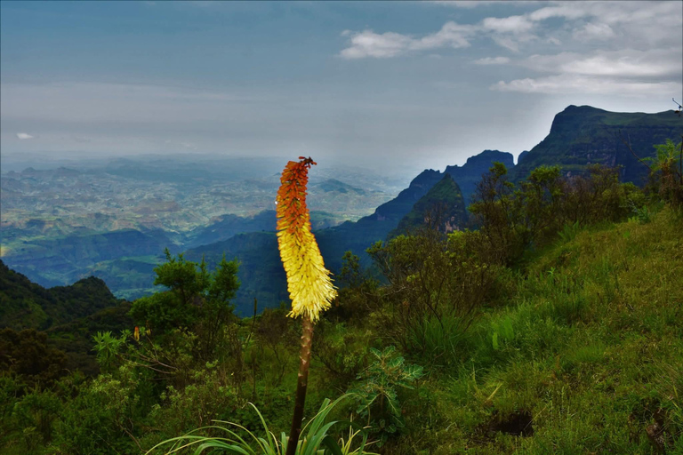 From Gondar: Simien Mountains 8-Day Trekking Adventure