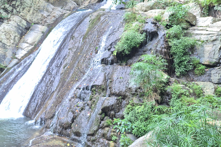 Esplora le cascate iconiche di Ella con un&#039;avventura panoramica in tuk-tuk