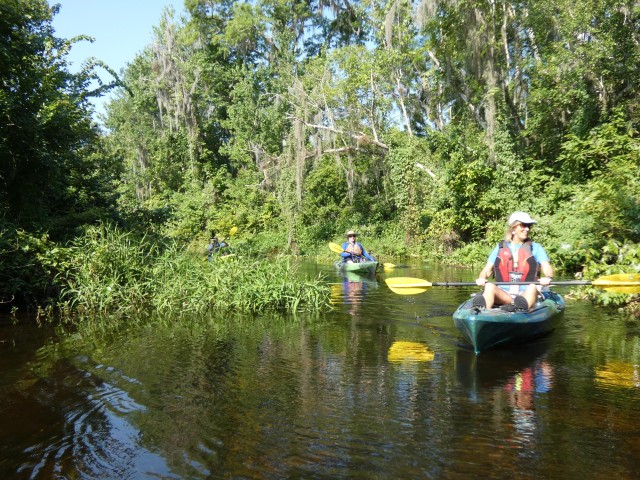 Visit Orlando Small Group Scenic Wekiva River Kayak Tour in Sanford, Florida