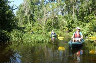 Orlando: Kleingruppentour auf dem Wekiva River mit dem Kajak