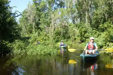 Orlando: Liten grupp naturskön kajaktur på floden Wekiva