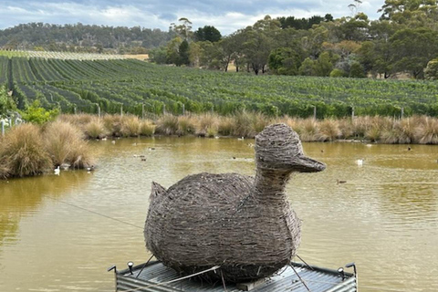 Nave da crociera - Escursione a terra per il vino - Hobart