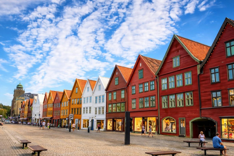 Bergen: Hidden Gems Premium Minibus Tour with Scenic Views