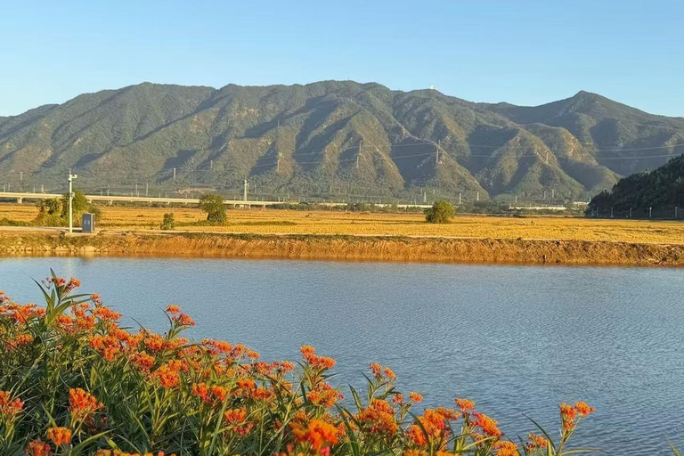 Guangzhou: Gulong Gorge Private Tour with Lunch & Skywalk