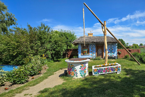 Cracovia: Tour del villaggio di Zalipie
