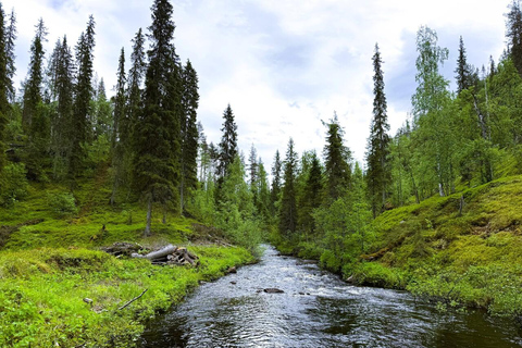 Rovaniemi to Ruka Roller Coaster & Korouoma Canyon Waterfall