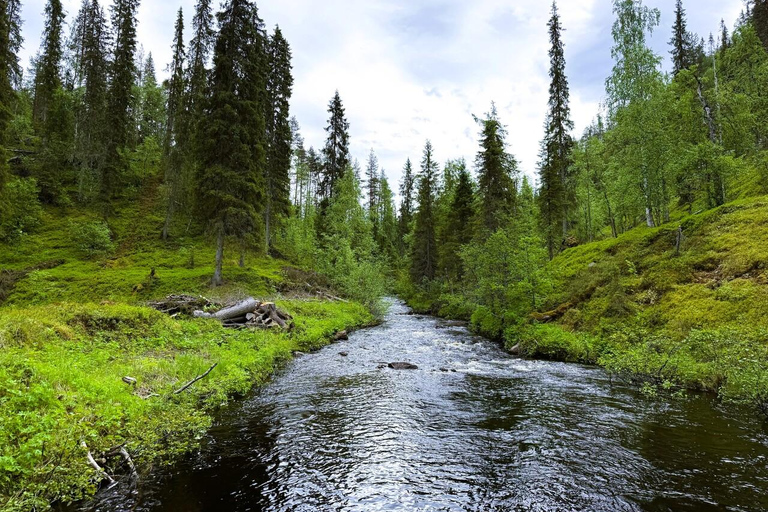 Rovaniemi to Ruka Roller Coaster & Korouoma Canyon Waterfall