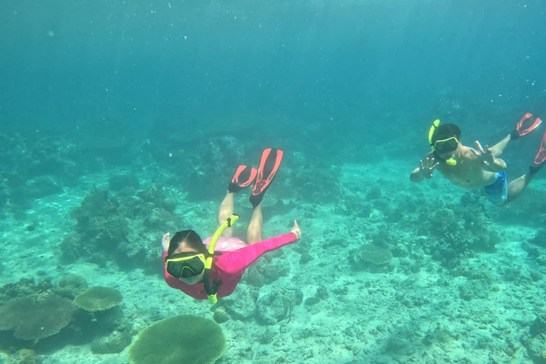 Coron: Dugong Watching Tour with Snorkeling