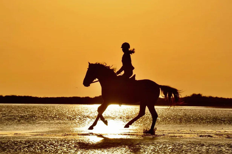 Horseback riding through dunes and pine forests to the beach in Side Horseback riding through dunes and pine forests to Side Beach