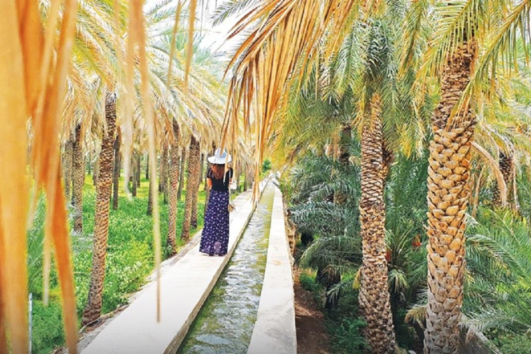 Muscat : Nizwa & Birkat AlMouz historical tour and lunch from Muscat : Nizwa & Oman’s Timeless Heritage Tour + lunch
