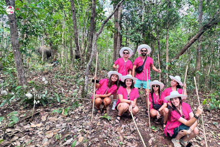Chiang Mai: Elephant Observation & Wang River Bamboo Rafting
