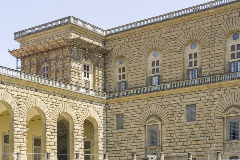 Florence: Pitti Palace and Palatina Gallery Ticket and Tour Tour in English