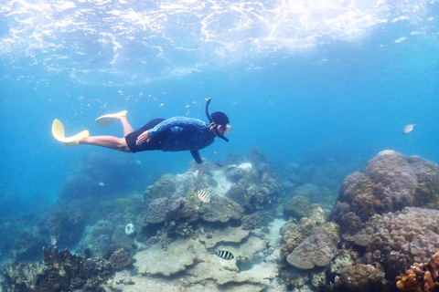 Experiência de dia inteiro de mergulho com snorkel saindo de BangkokDe Bangkok: Passeio de mergulho com snorkel na Baía de Samae Sarn com almoço