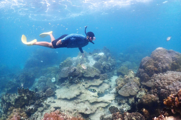 Experiência de dia inteiro de mergulho com snorkel saindo de BangkokDe Bangkok: Passeio de mergulho com snorkel na Baía de Samae Sarn com almoço