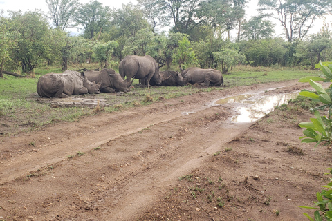 Livingstone: Mosi-oa-Tunya National Park White Rhino Tour