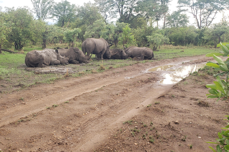 Livingstone: Mosi-oa-Tunya National Park White Rhino Tour
