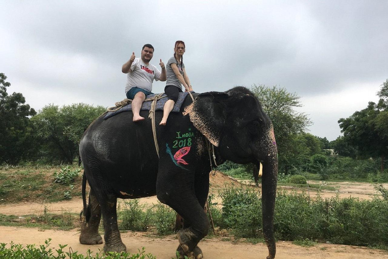 Jaipur: Hathigao Elephant Village Ride, Feeding, & Photos Riding, Feeding, Climbing And Photography with Elephant