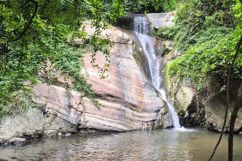 Explore Ella’s Iconic Waterfalls on Scenic Tuk Tuk Adventure