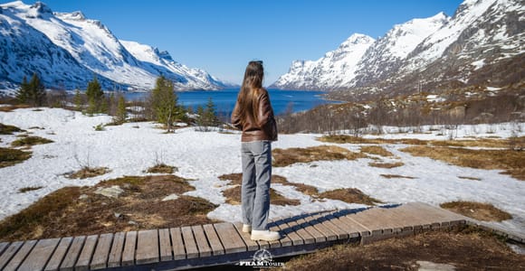 Tromsø: Arctic Fjords Tour to Kvaløya with Panoramic Lunch