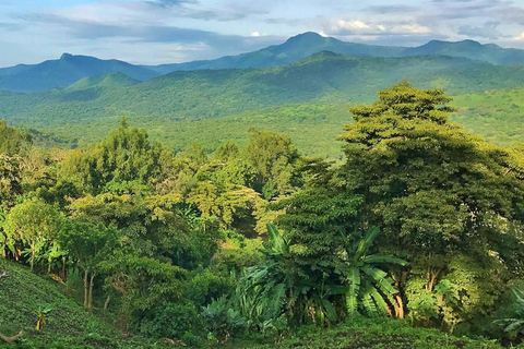Z Addis Abeby: 6-dniowa wycieczka do Chebera Churchura i Halla Kella
