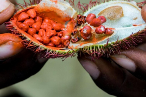 Zanzibar : visite d'une ferme d'épicesZanzibar : visite d'une plantation d'épices
