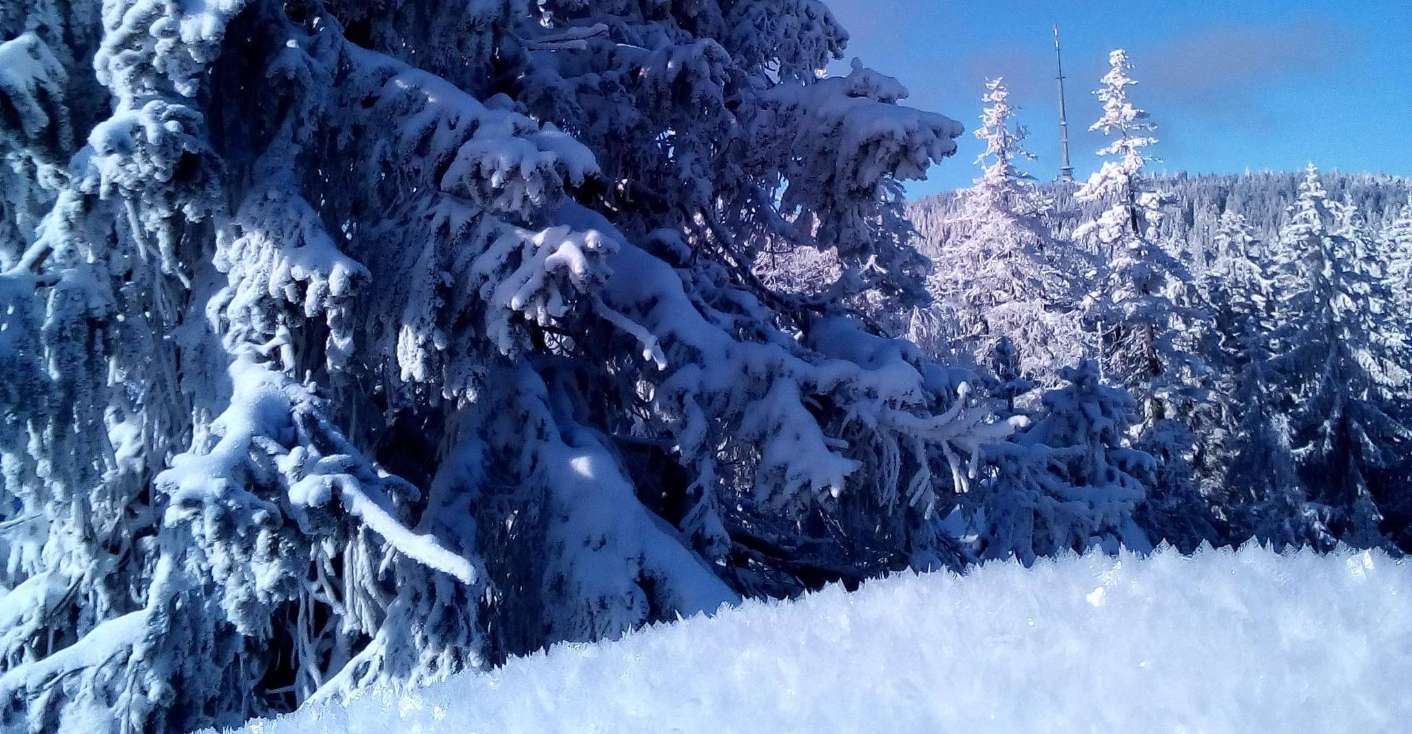 fichtelgebirge、スノーシューハイキング - Hizvo