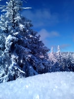Fichtelgebirge, Schneeschuhwanderung - Hizvo