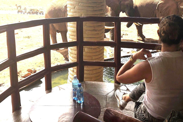 Salt Lick Safari Lodge: tour di 2 giorni da Nairobi o MombasaNairobi o Mombasa: tour di 2 giorni al Salt Lick Safari Lodge