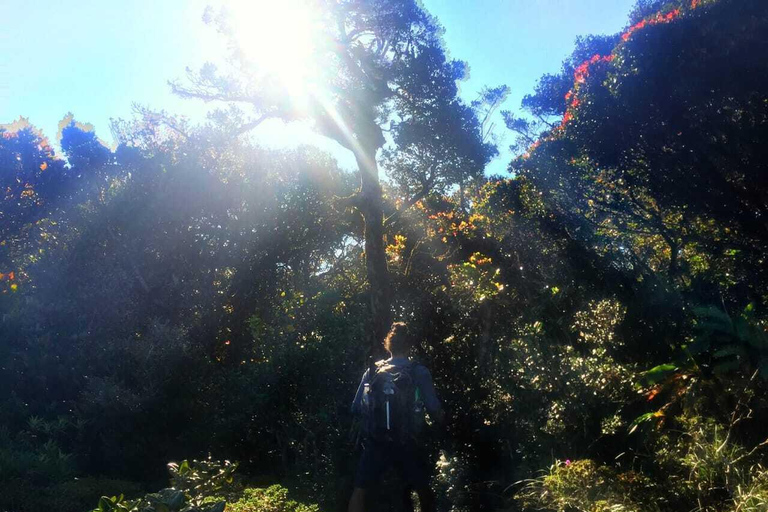 Kandy: Hidden Jungle Infinity Pool & Waterfall Expedition