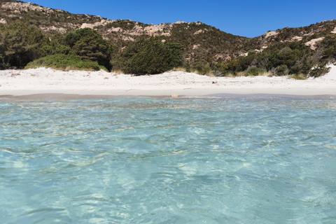 From Palau: La Maddalena Archipelago 4 Stops Boat Tour From Palau: La Maddalena Archipelago Full-Day Boat Tour