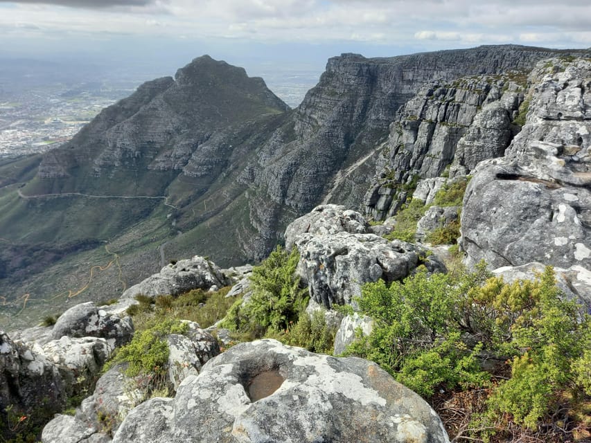 Table Moutain & Cape Peninsula: Full-day Tour | GetYourGuide