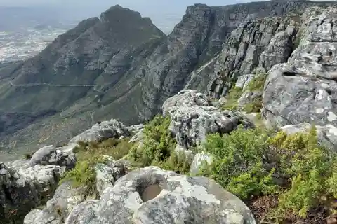 Table Moutain & Cape Peninsula: Full-day Tour