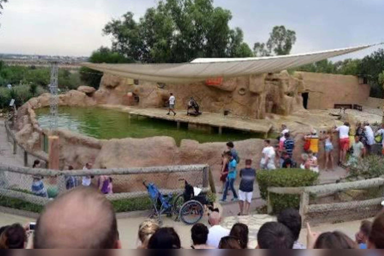 From Monastir & More: Friguia Wildlife Park with Entry From Sousse : Friguia Wildlife Park