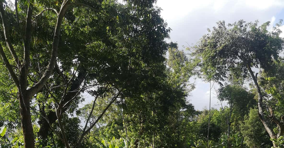 Galería de fotos para redes