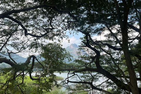 Kandy: Knuckles Mountain Range Guided Trekking Tour
