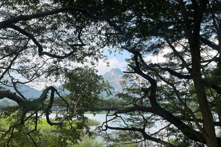 Kandy: Knuckles Mountain Range Guided Trekking Tour
