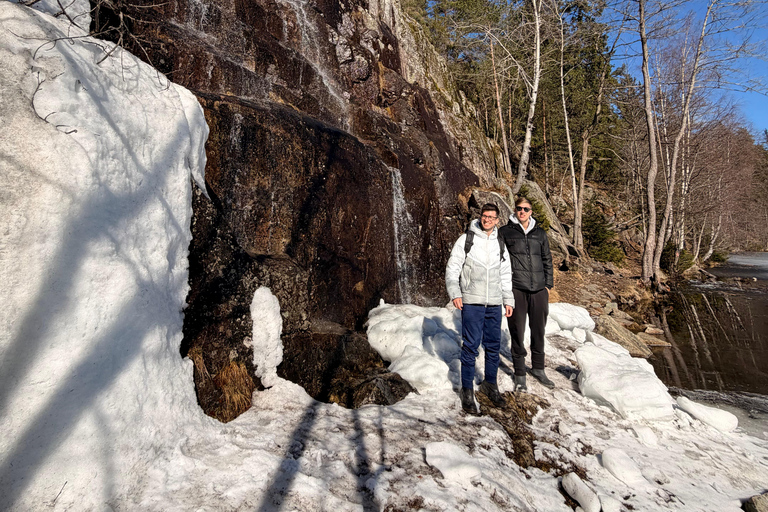 Scenic Oslo Fjord Hike with Reindeer, Moose & Whale Sausage