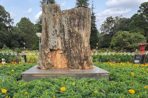 Bangalore: Discover Lalbagh with a scavenger hunt: app-based Access tour via Tourific app (link emailed by Tourific)