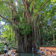 The Best of Siquijor Island Tour — photo 2