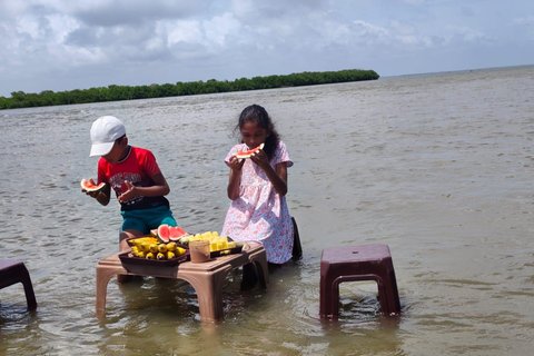 From Negombo: Boat Tour of Negombo Lagoon