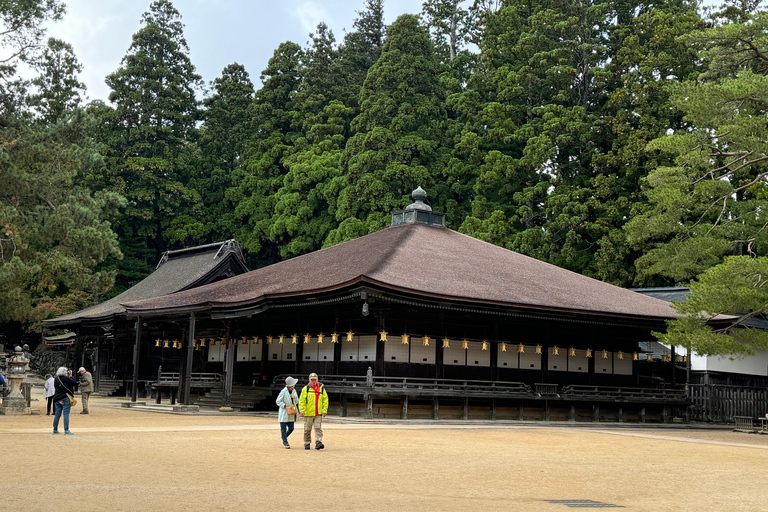 Z Osaki: prywatna wycieczka 1-dniowa z przewodnikiem do Koyasan (miejsce wpisane na listę UNESCO)