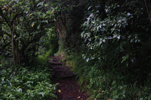 From Quito: Papallacta Trekking & Volcanic Hot Springs