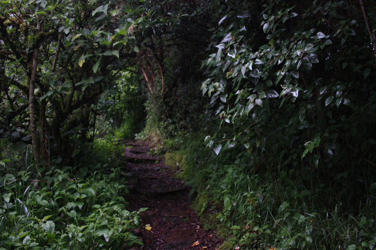 From Quito: Papallacta Trekking & Volcanic Hot Springs