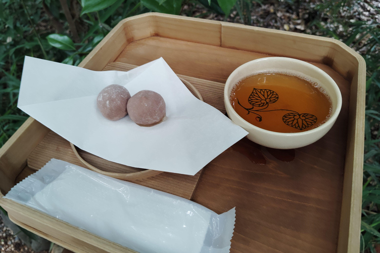 Kioto: tour guiado por los santuarios de Kamigamo y Shimogamo, 3 h.Kioto: tour guiado por los santuarios Kamigamo y Shimogamo, 3 h